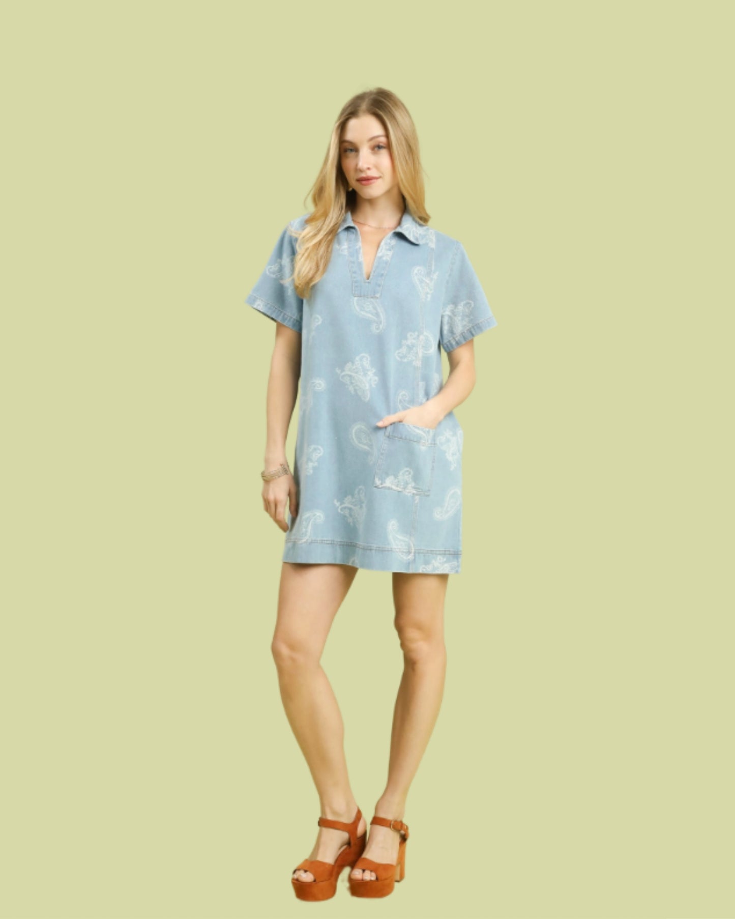 Marina Paisley Denim Dress